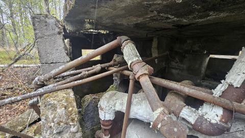 Jackfish 2024 - 20240531_145742.jpg