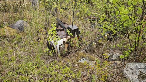 Jackfish 2024 - 20240531_150051.jpg