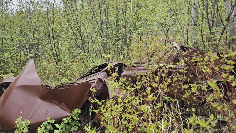 Jackfish 2024 - 20240531_150944.jpg