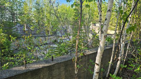 Sand River and Leitch Mines - 20240531_192125.jpg