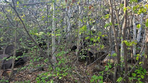 Sand River and Leitch Mines - 20240531_192642.jpg