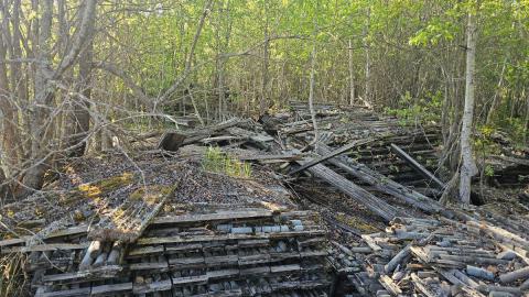 Sand River and Leitch Mines - 20240531_194204.jpg