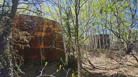 Fallout: Northern Ontario - 20240530_155010.jpg