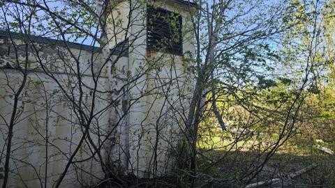 Fallout: Northern Ontario - 20240530_161336.jpg