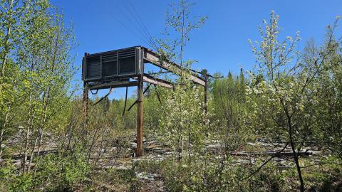 Fallout: Northern Ontario - 20240530_162335(0).jpg