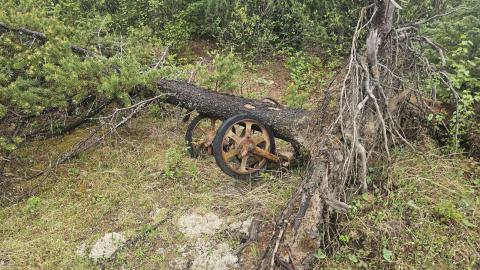 Ghost Town of Stevens in 2024 - 20240601_154044.jpg