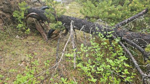 Ghost Town of Stevens in 2024 - 20240601_154101.jpg
