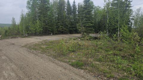 Ghost Town of Stevens in 2024 - 20240601_155045.jpg