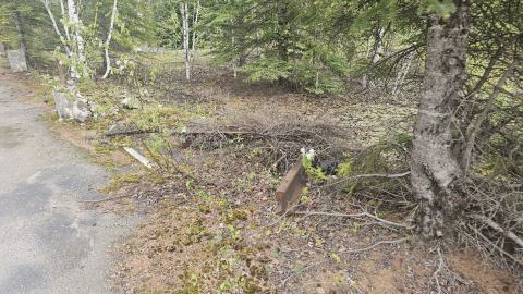 Ghost Town of Stevens in 2024 - 20240601_155101.jpg