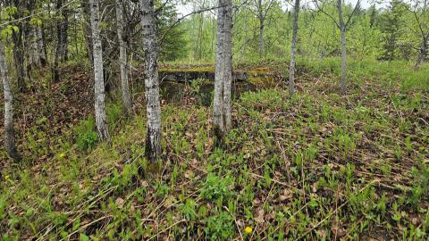 Ghost Town of Stevens in 2024 - 20240601_155658.jpg