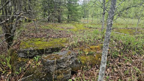 Ghost Town of Stevens in 2024 - 20240601_155702.jpg