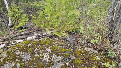 Ghost Town of Stevens in 2024 - 20240601_155748.jpg