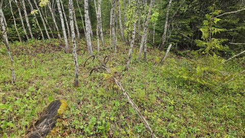 Ghost Town of Stevens in 2024 - 20240601_155824.jpg