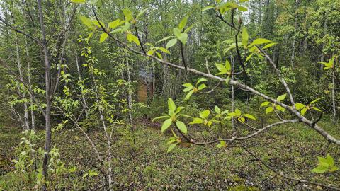 Ghost Town of Stevens in 2024 - 20240601_160056.jpg