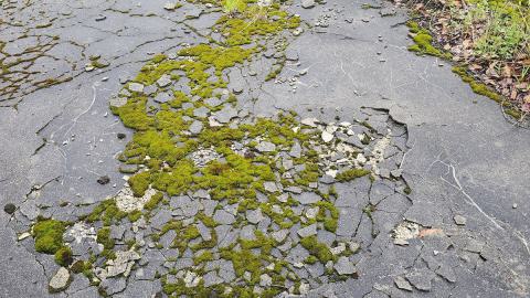 Ghost Town of Stevens in 2024 - 20240601_160151.jpg