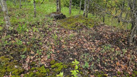 Ghost Town of Stevens in 2024 - 20240601_160209.jpg