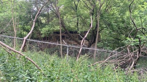 An Empty Room - IMG_2657.jpeg