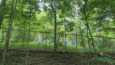 An Empty Room - IMG_2658.jpeg