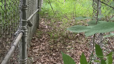 An Empty Room - IMG_2659.jpeg