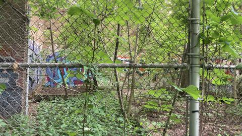 An Empty Room - IMG_2660.jpeg