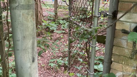 Sunnybrook Transformer House photo 2