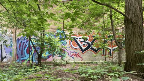 An Empty Room - IMG_2662.jpeg