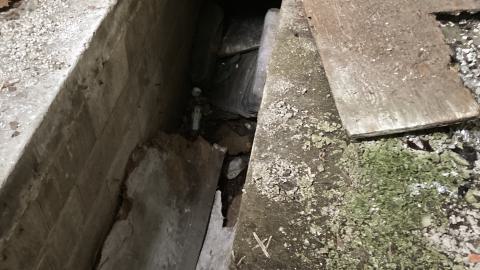 Sunnybrook Transformer House photo 3