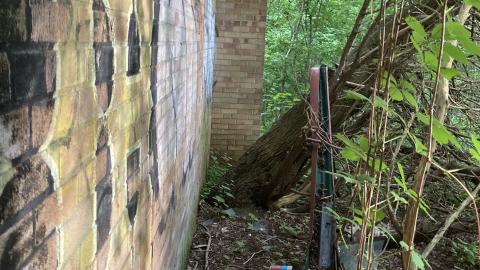 An Empty Room - IMG_2671.jpeg