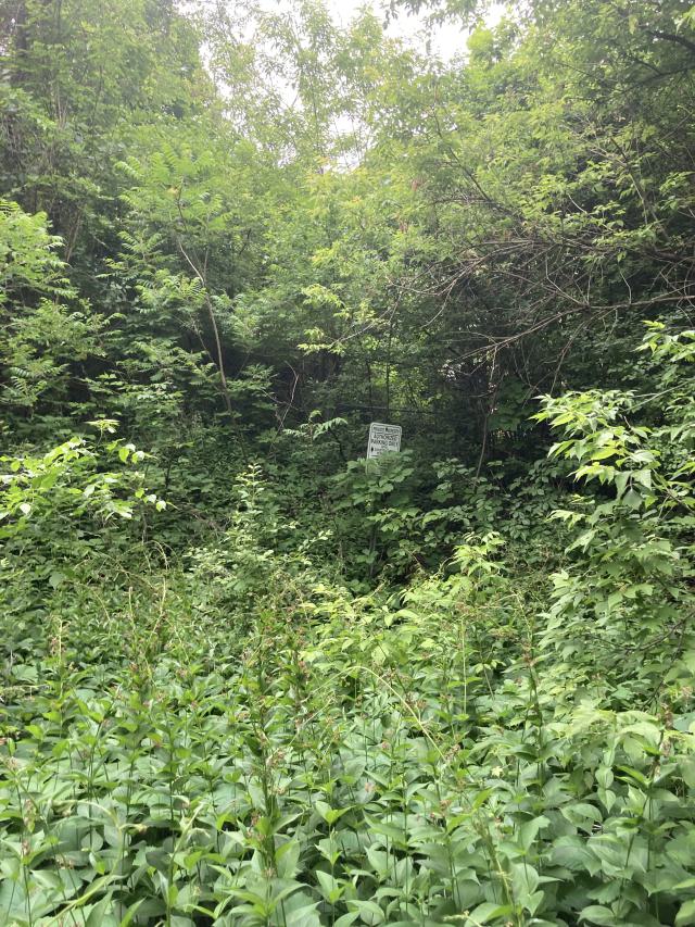 Sunnybrook Transformer House photo 4