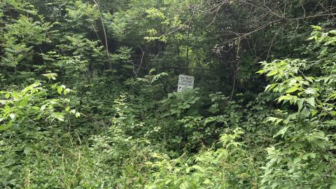 Sunnybrook Transformer House photo 4