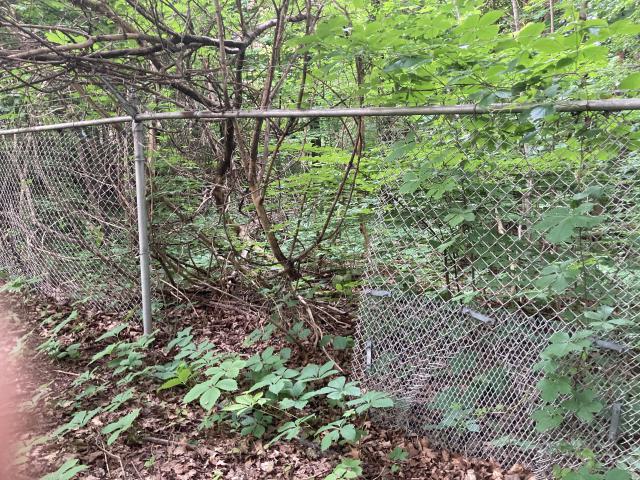 Sunnybrook Transformer House photo 5