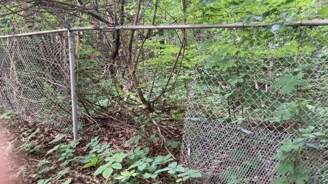 Sunnybrook Transformer House photo 5