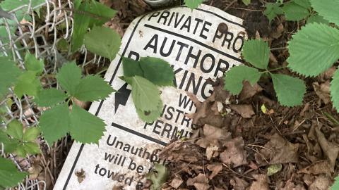 An Empty Room - IMG_2676.jpeg