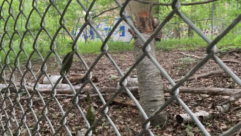 An Empty Room - IMG_2677.jpeg