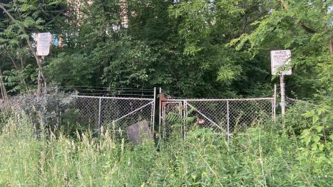 An Empty Room - IMG_2679.jpeg