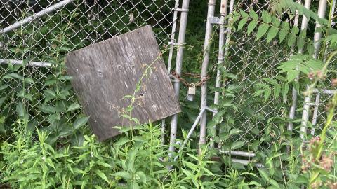 An Empty Room - IMG_2680.jpeg