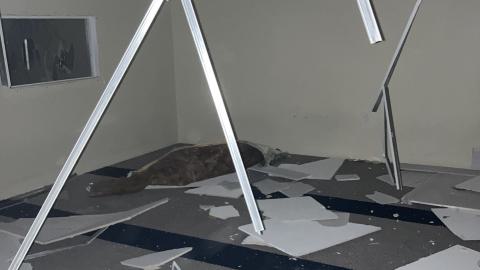 Thorncliffe Strip Mall photo 3