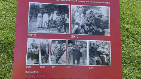 Murney Tower/Gaskin The Lion - Screenshot 2024-06-09 193955.png