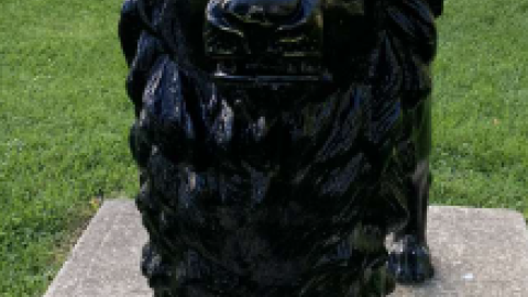 Murney Tower/Gaskin The Lion - Screenshot 2024-06-09 194107.png