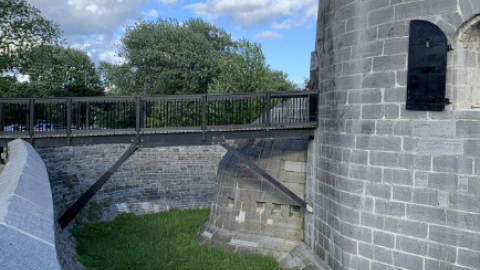 Murney Tower/Gaskin The Lion - Screenshot 2024-06-09 194149.png