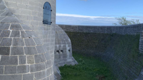 Murney Tower/Gaskin The Lion - Screenshot 2024-06-09 194156.png