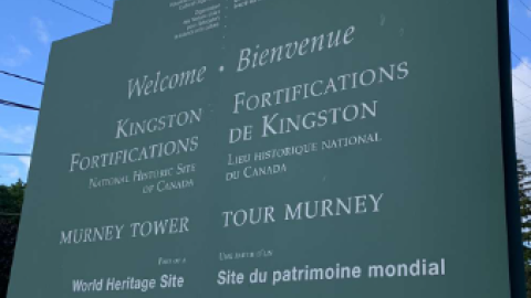 Murney Tower/Gaskin The Lion - Screenshot 2024-06-09 194235.png