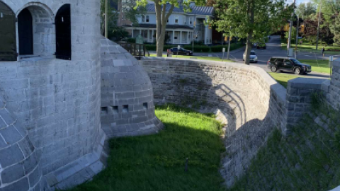 Murney Tower/Gaskin The Lion - Screenshot 2024-06-09 194322.png