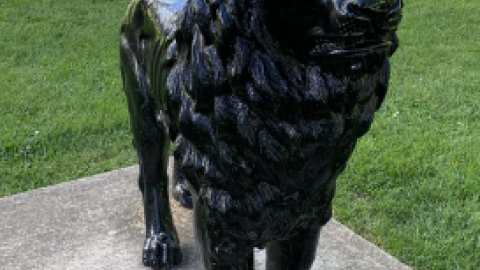 Murney Tower/Gaskin The Lion - Screenshot 2024-06-09 194100.png