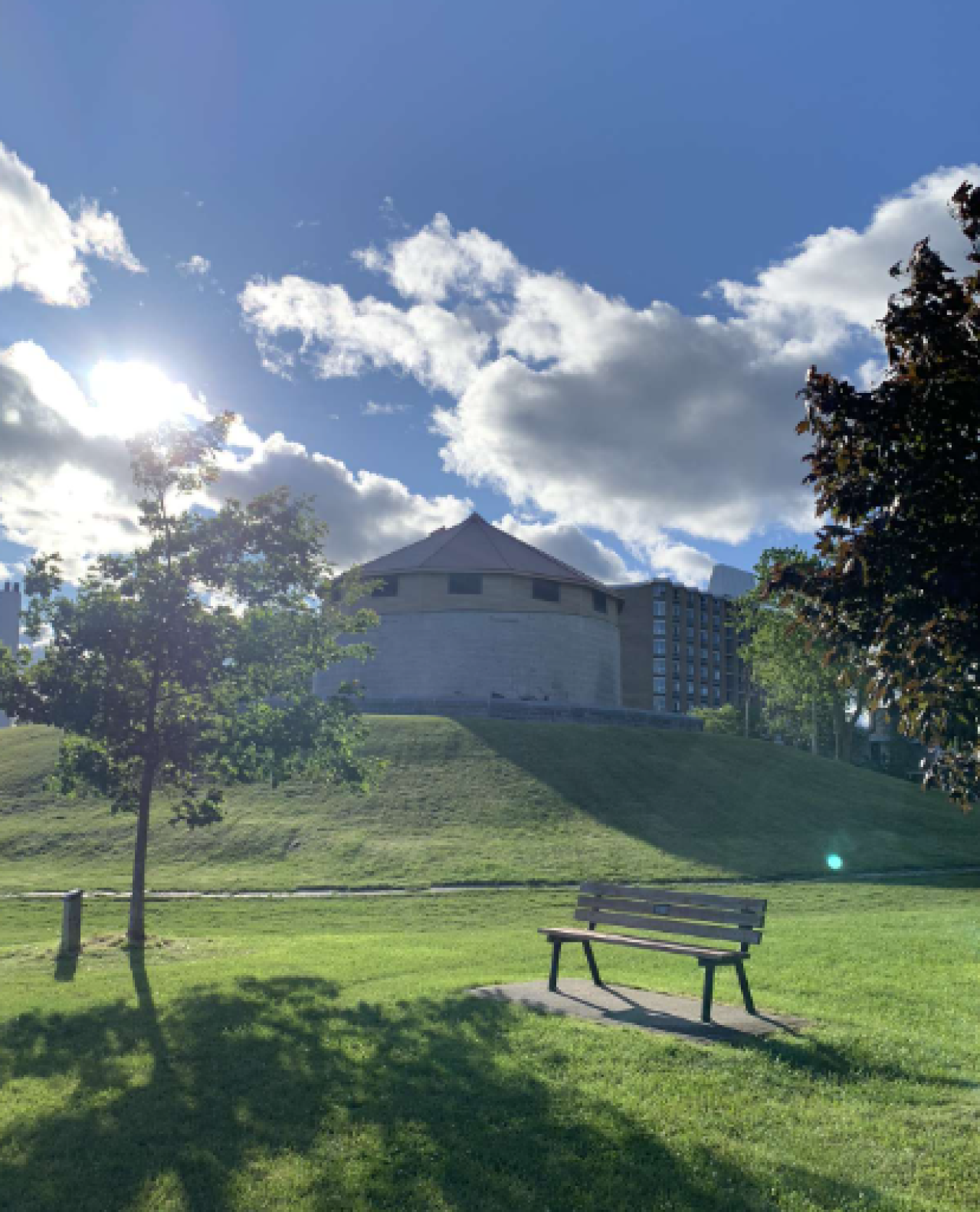 Murney Tower/Gaskin The Lion - Screenshot 2024-06-09 194335.png