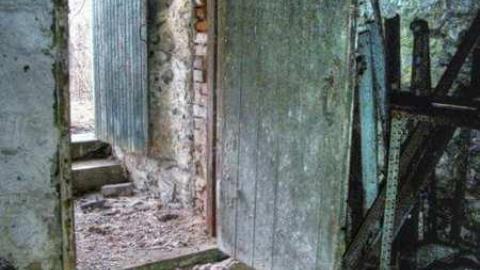 Drove right up to the house - bq2.jpg