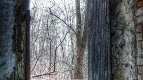 Drove right up to the house - 2a.jpg