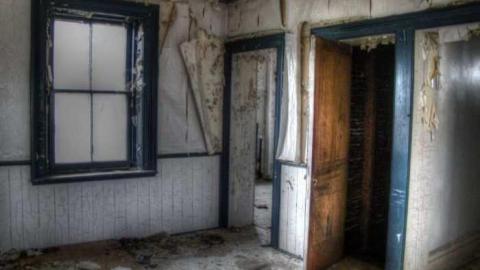 Drove right up to the house - vf3.jpg