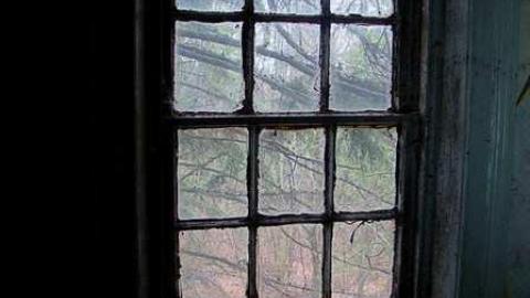 Drove right up to the house - 6a.jpg