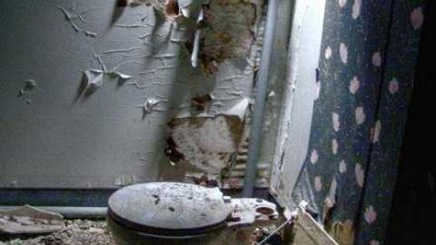 Drove right up to the house - 6b.jpg